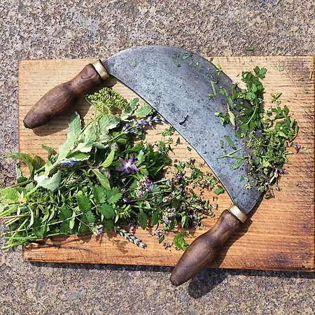 Hotell Tauroa Winterstellgut