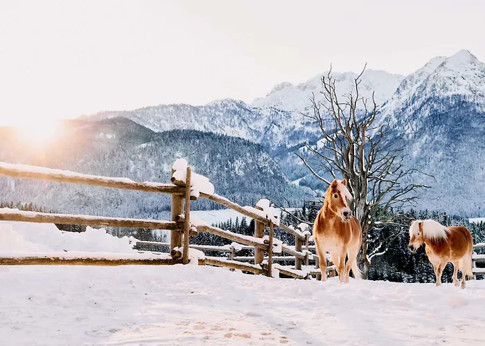 Tauroa Winterstellgut Аннаберг-им-Ламмерталь